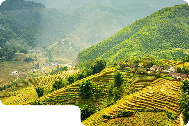 Du Lịch Hữu Ích Từ Hello Việt Nam Travel Dành Cho Mọi Hành Trình